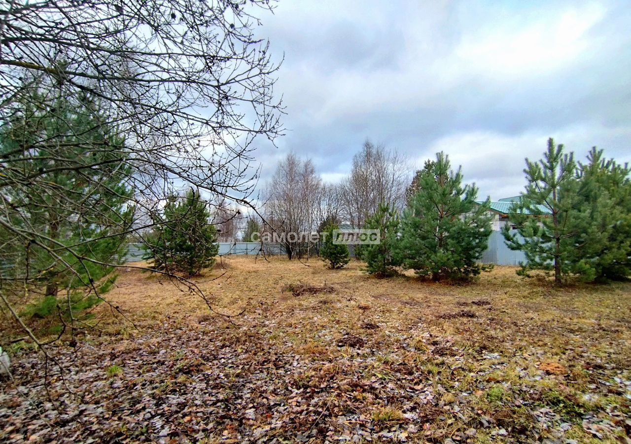 земля городской округ Богородский г Электроугли ул Советская 10/31 24 км, Носовихинское шоссе фото 9