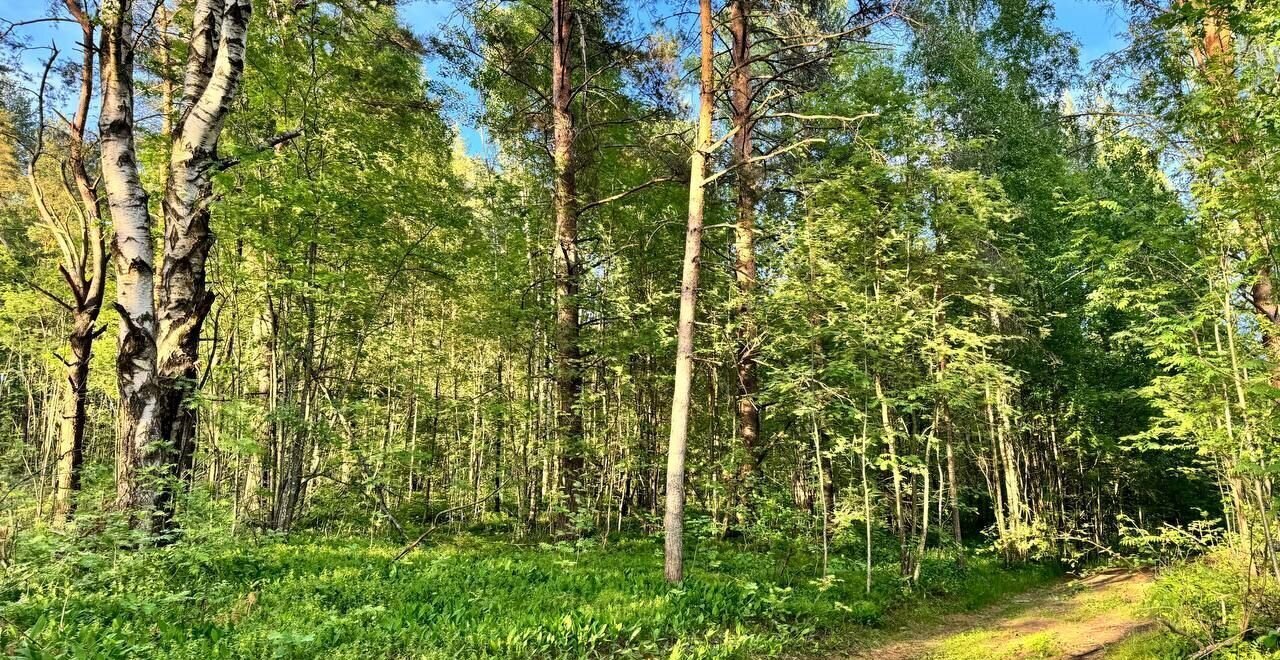 земля р-н Всеволожский Александровское шоссе, 16 км, Юкковское сельское поселение, Санкт-Петербург фото 2