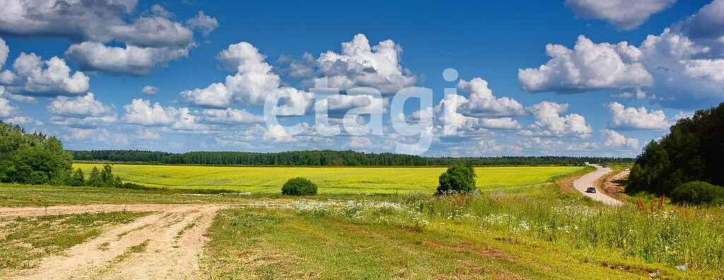 земля р-н Емельяновский снт Раздолье Шуваевский сельсовет фото 6