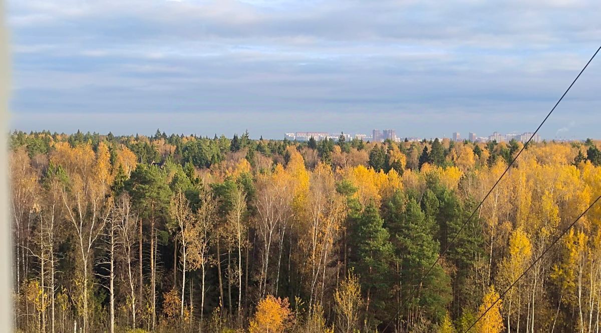 квартира г Балашиха ул Демин луг 6/5 Новогиреево фото 19