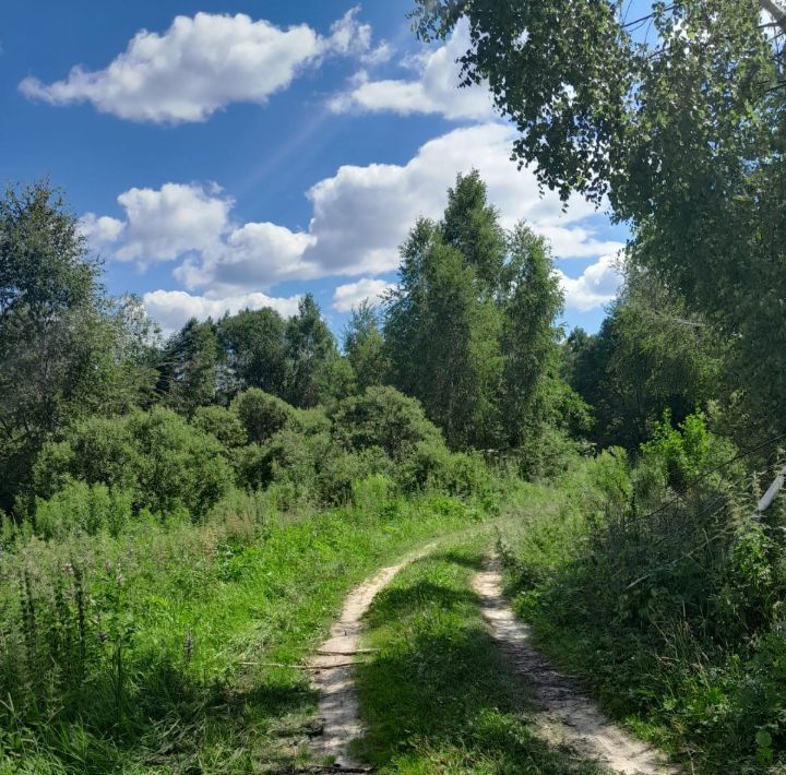 земля р-н Арзамасский с Наумовка Арзамас городской округ фото 5