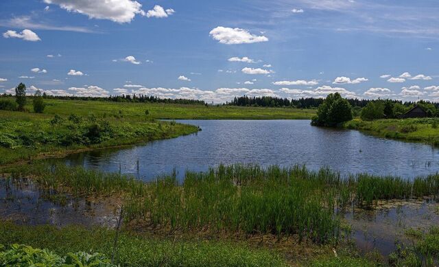 земля городской округ Можайский п Уваровка 110 км, д. Никитино, Минское шоссе фото