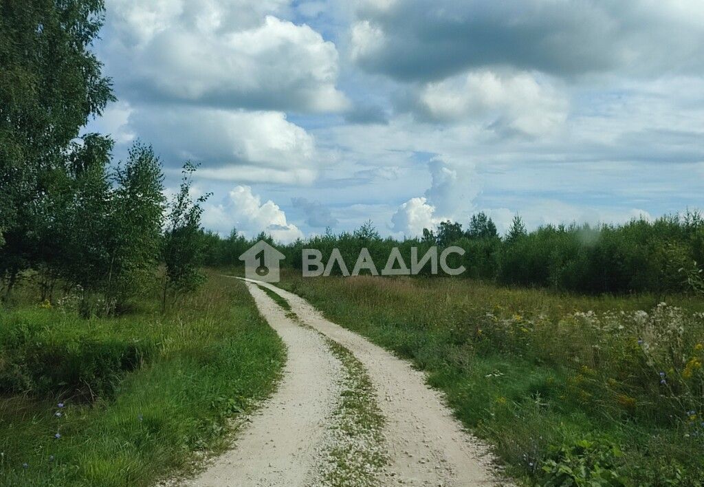 земля р-н Собинский д. Головино муниципальное образование Колокшанское, Владимир фото 23