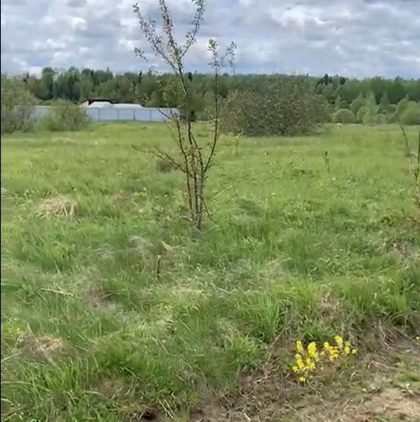 офис городской округ Можайский д Елево фото 1