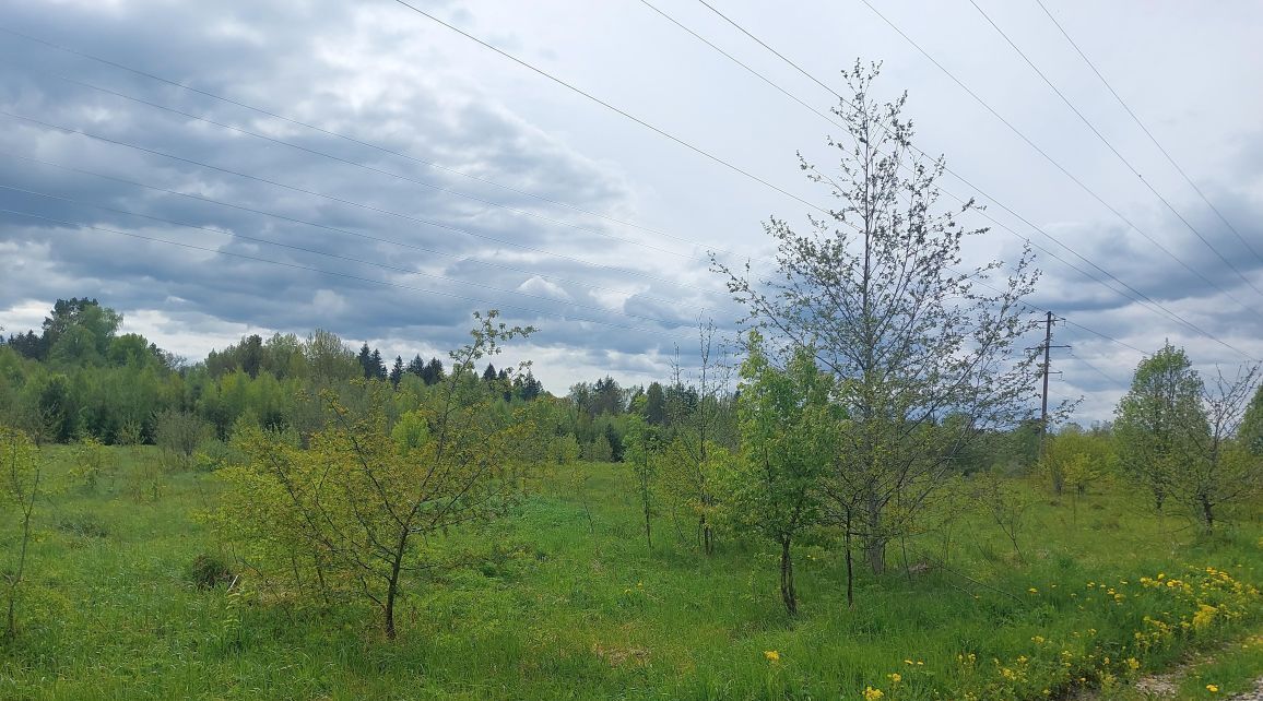 офис городской округ Наро-Фоминский г Верея фото 5