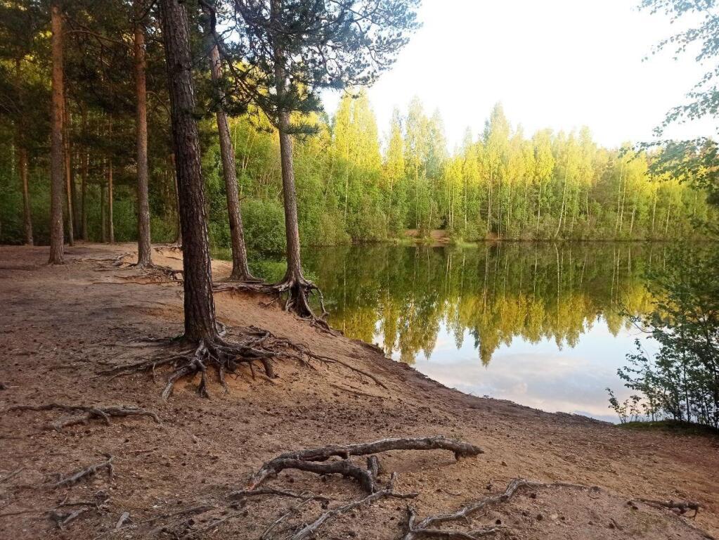 дом р-н Ломоносовский п Большая Ижора Большеижорское городское поселение фото 20