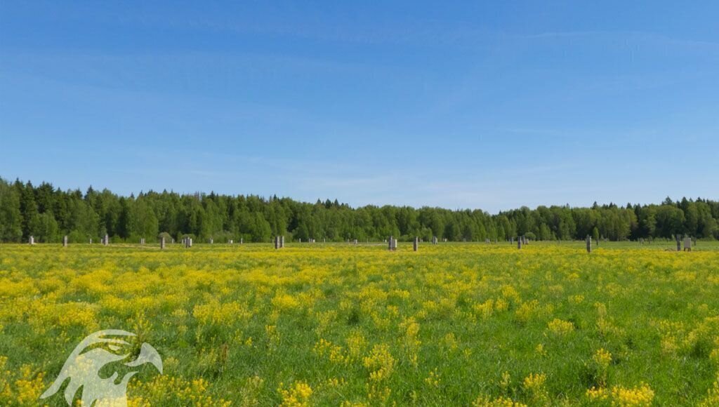 земля городской округ Истра 36 км, коттеджный пос. Максимово Парк, Истра, Волоколамское шоссе фото 12