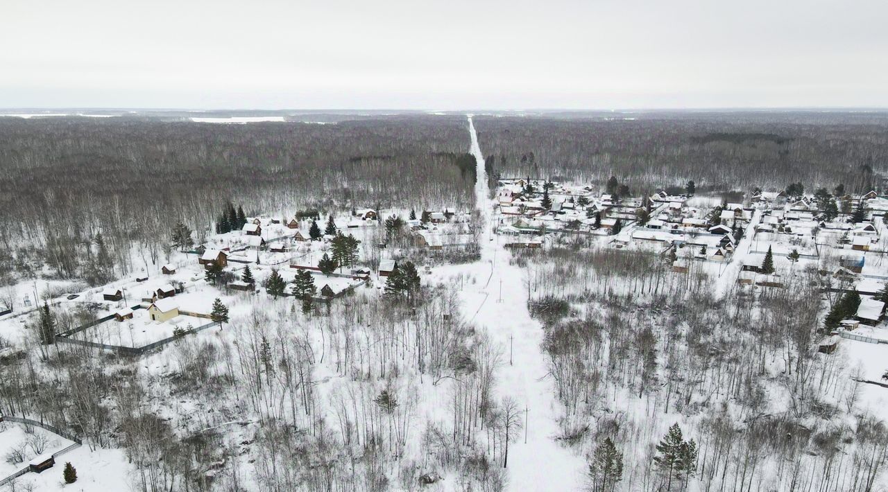 земля р-н Тюменский снт Лесник-2 фото 7