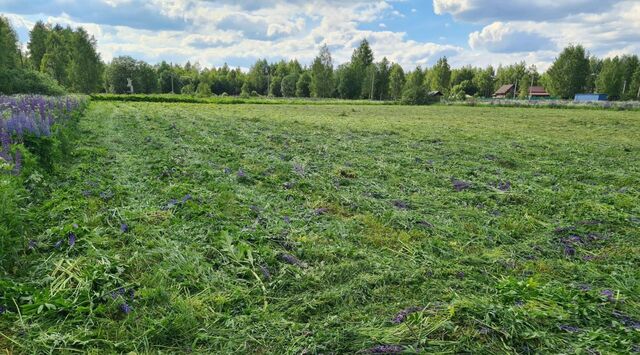 земля д Новоселово ул Лесная 29 Кипревское муниципальное образование фото