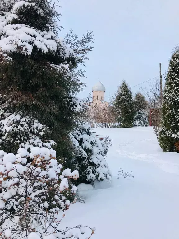 дом р-н Новгородский д Спас-Нередицы 18, Великий Новгород фото 38