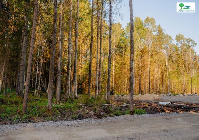 22 км, Всеволожский р-н, Токсовское городское поселение, коттеджный пос. Экофорест, Лесколово, Ленинградское шоссе фото