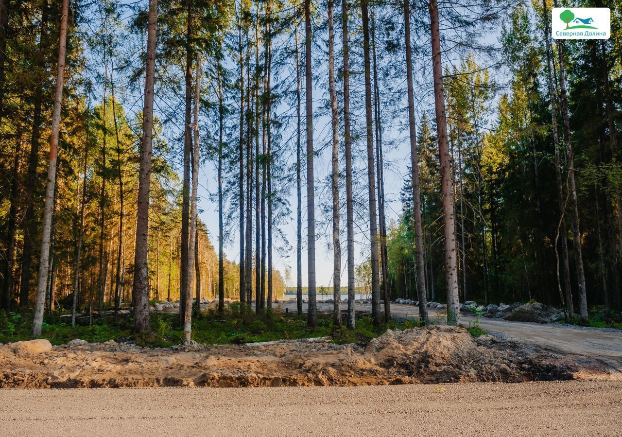 земля р-н Всеволожский 22 км, Всеволожский р-н, Токсовское городское поселение, коттеджный пос. Экофорест, Лесколово, Ленинградское шоссе фото 23