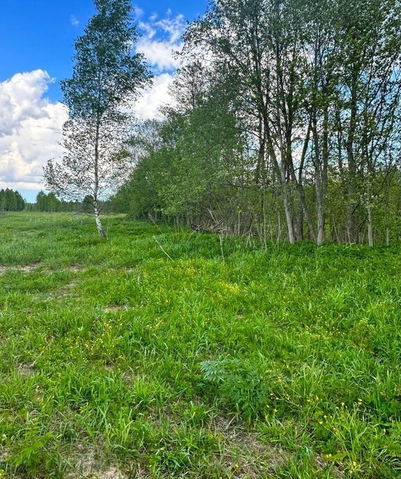 земля городской округ Наро-Фоминский д Плесенское фото 21