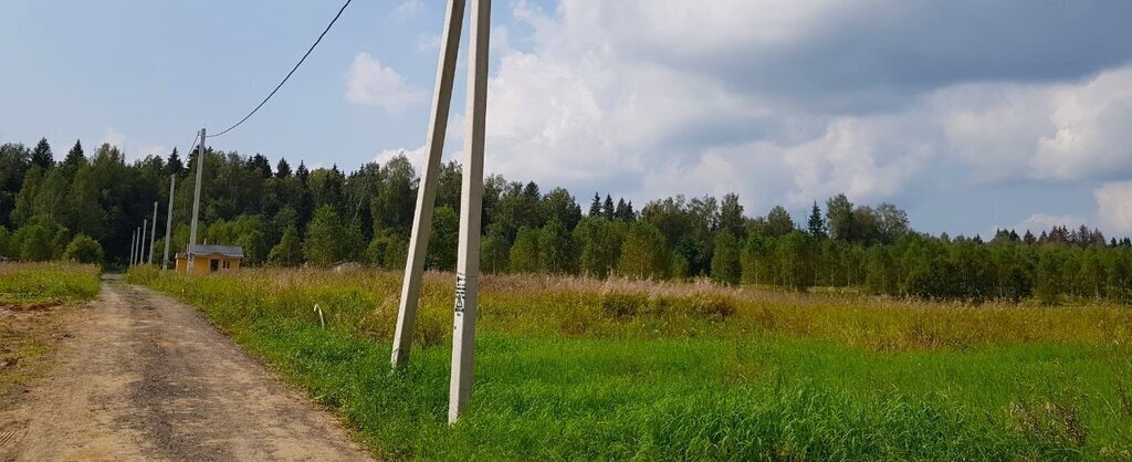 земля городской округ Наро-Фоминский д Плесенское фото 28