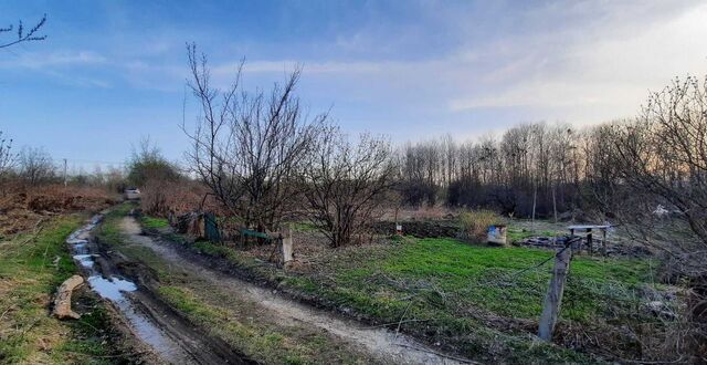 земля Корсаковское сельское муниципальное образование, Хабаровск фото