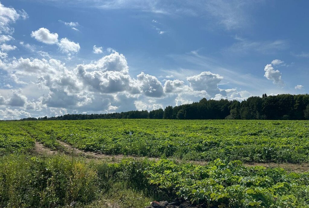 земля городской округ Клин д Белавино фото 30