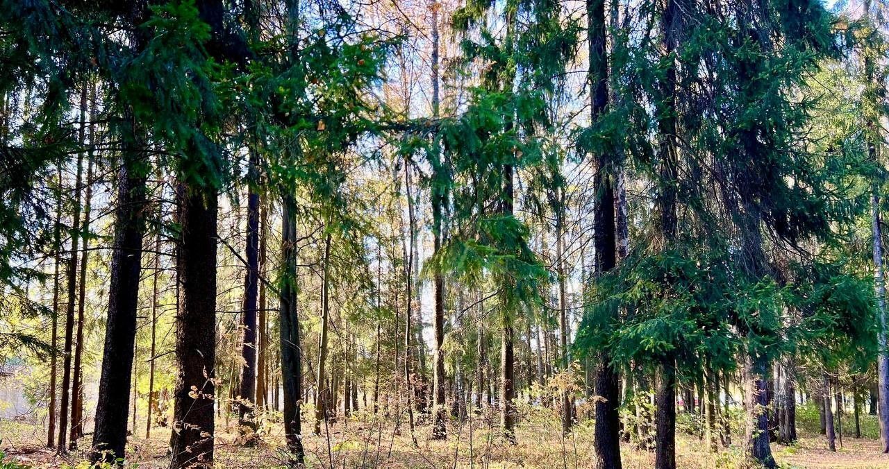 земля городской округ Сергиево-Посадский с Абрамцево ул Некрасова 24 фото 11