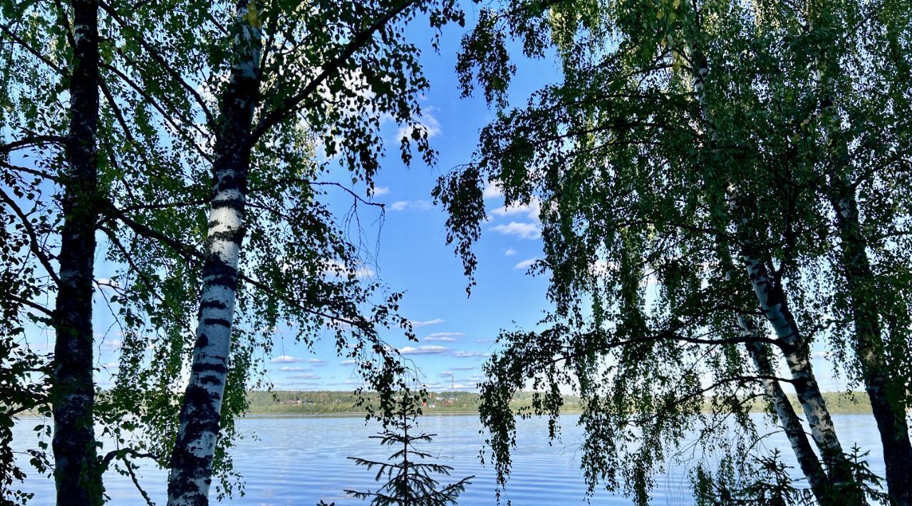 земля городской округ Мытищи д Аксаково ул Пяловская Хлебниково фото 5