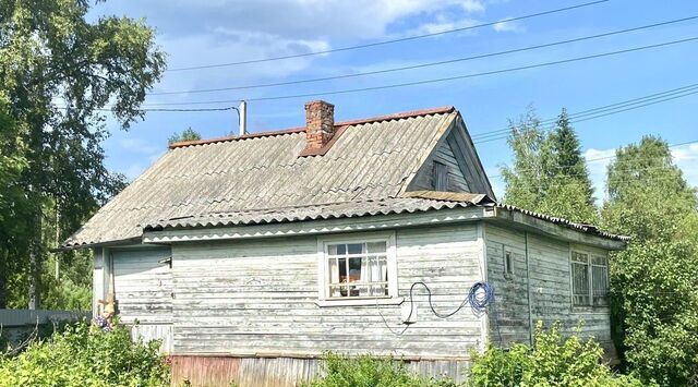 д Турково Большедворское с/пос, 4 фото