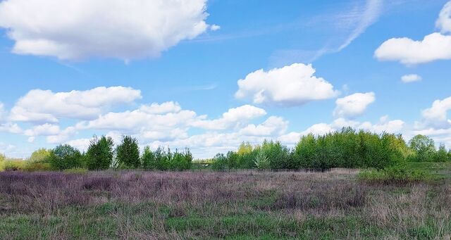 р-н Рязанский с Поляны ул Революции с пос, Полянское фото