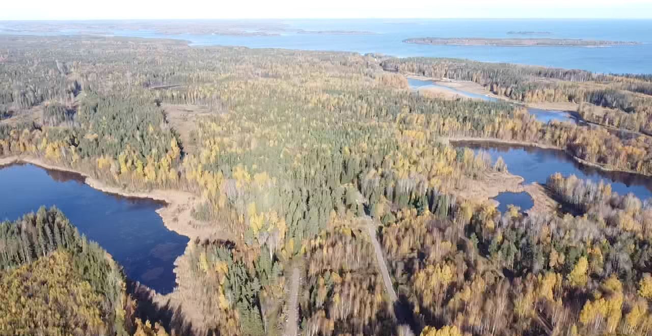 земля р-н Приозерский г Приозерск Трасса Сортавала, 110 км, Приозерское городское поселение фото 5