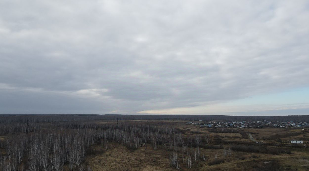 офис р-н Сосновский п Полетаево фото 3