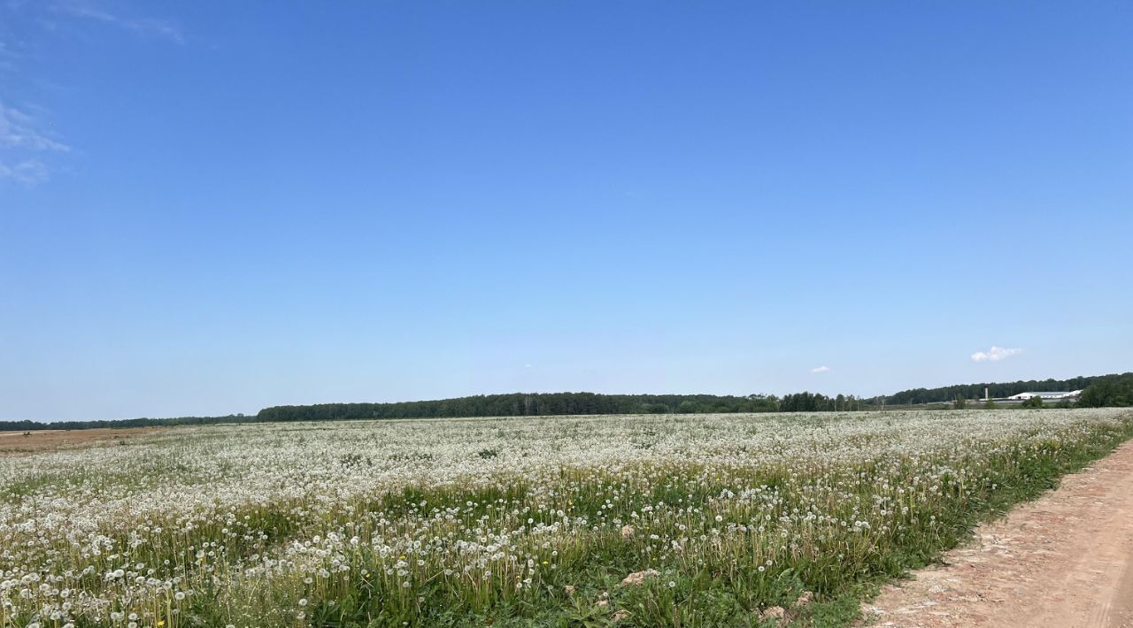 земля городской округ Домодедово с Успенское 1232, Барыбино кп фото 14