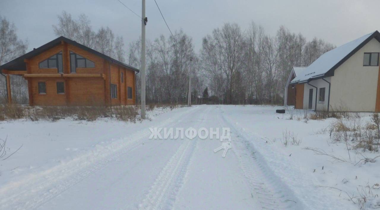 земля р-н Новосибирский п Воробьевский сельсовет, Кудряшовский фото 3