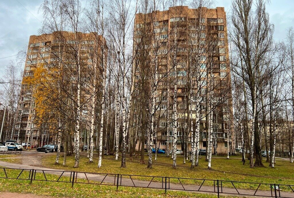 квартира г Санкт-Петербург метро Гражданский Проспект ул Ушинского 37к/2 фото 2