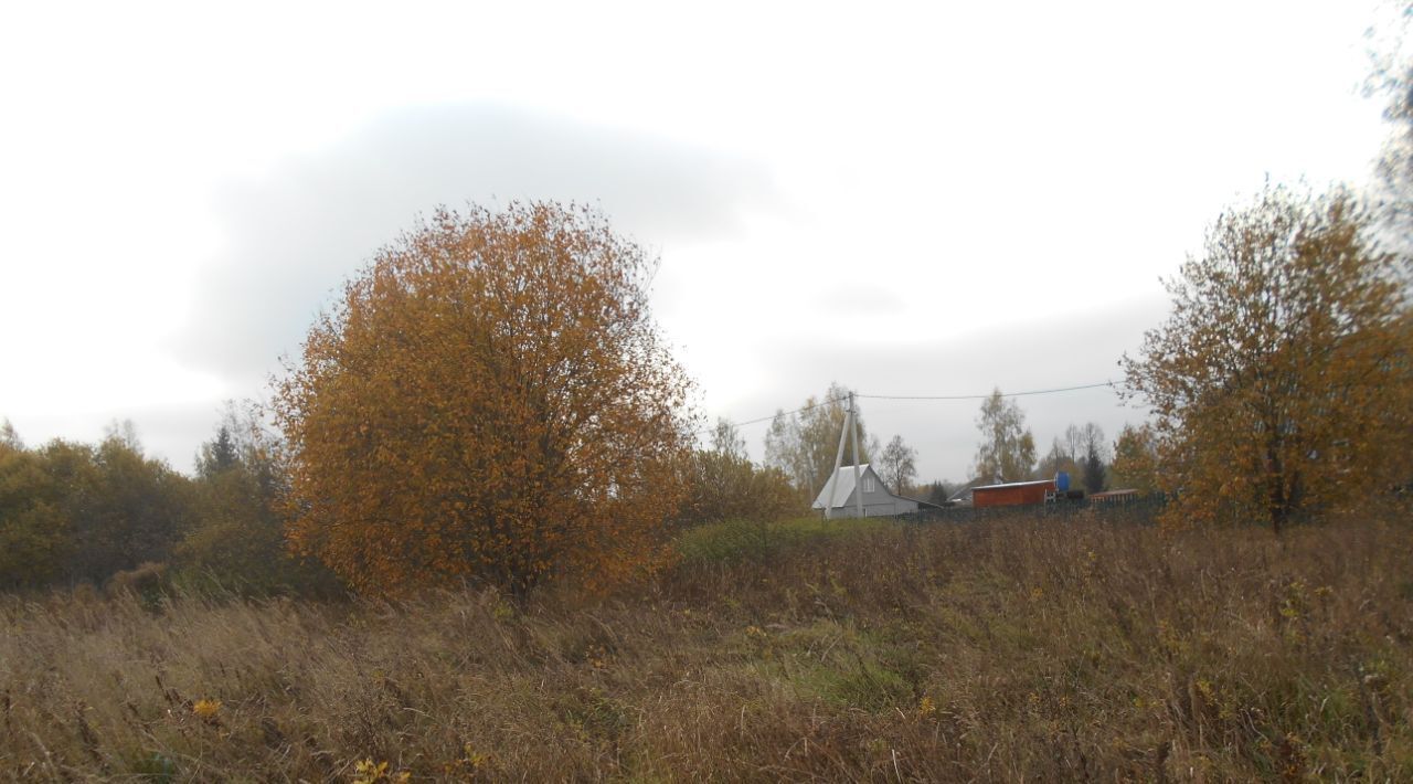 офис городской округ Шаховская д Шестаково фото 1