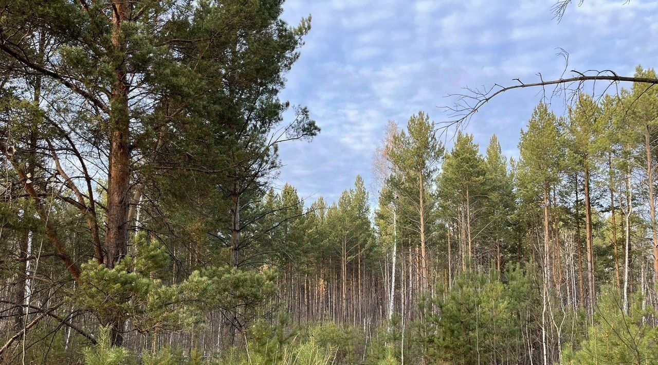 земля р-н Нижнетавдинский п Торгили фото 1