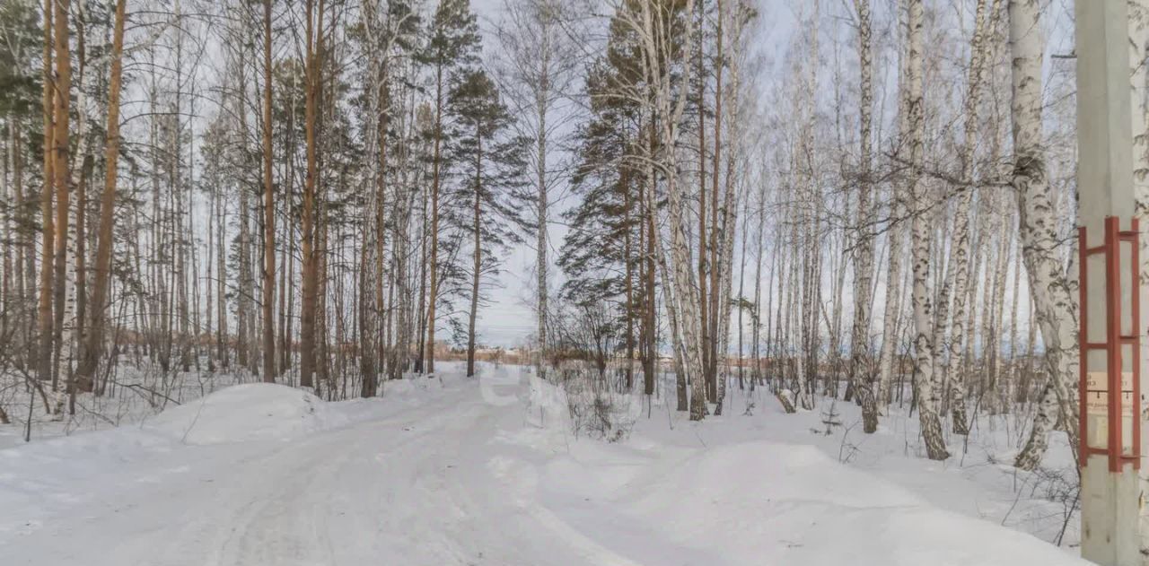 земля г Челябинск р-н Центральный снт Мичуринец фото 10