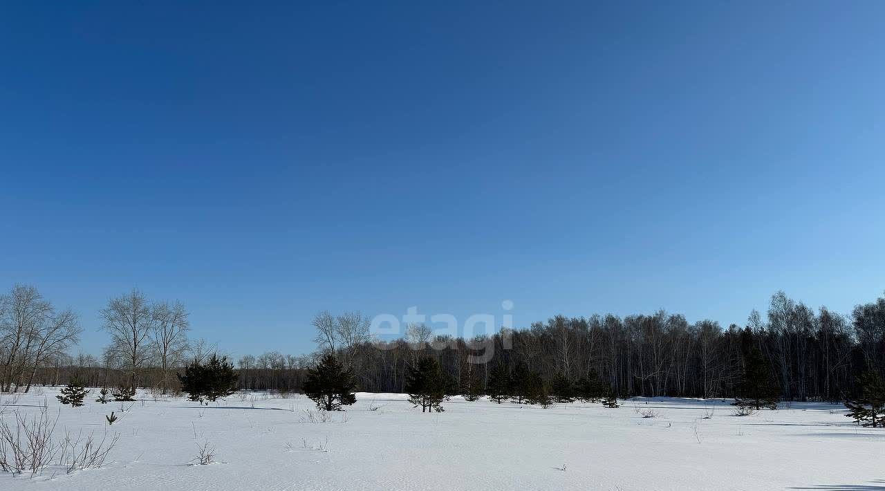 земля р-н Сосновский п Саргазы ул Раздольная фото 6