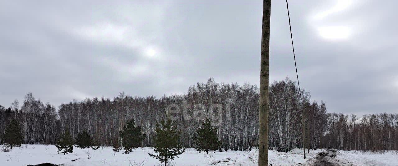 земля р-н Сосновский п Саргазы ул Раздольная фото 11