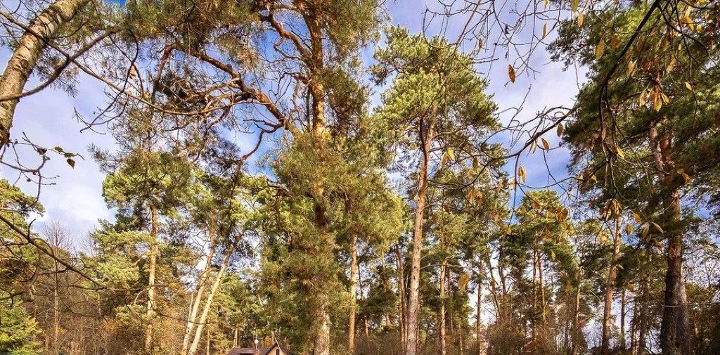 земля городской округ Одинцовский п Заречье Одинцово фото 20