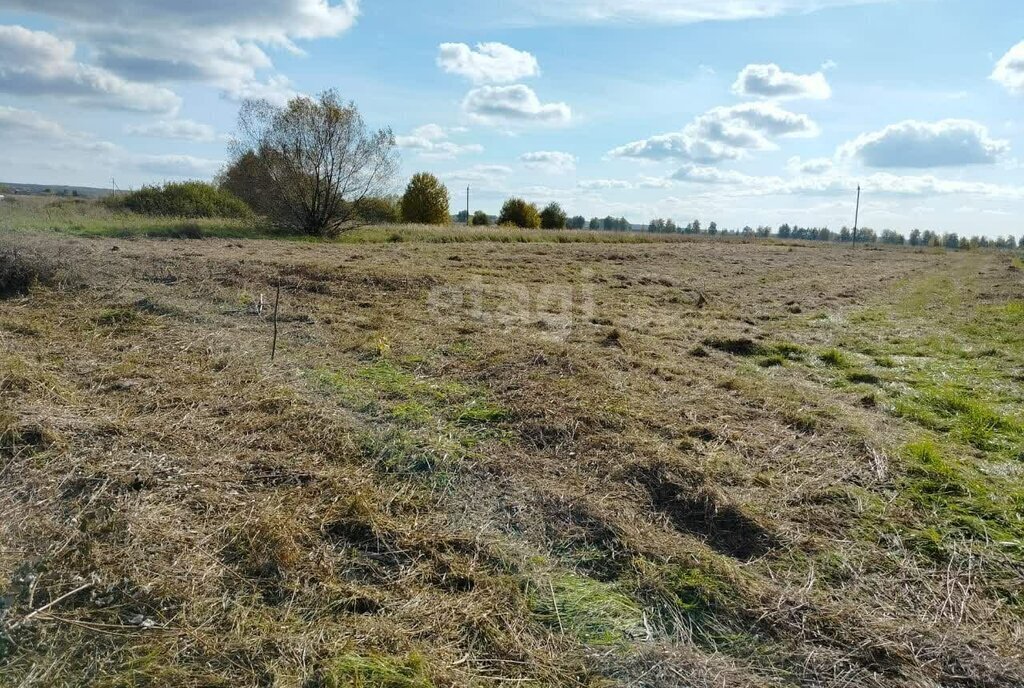 земля г Саранск с Напольная Тавла ул Советская фото 2