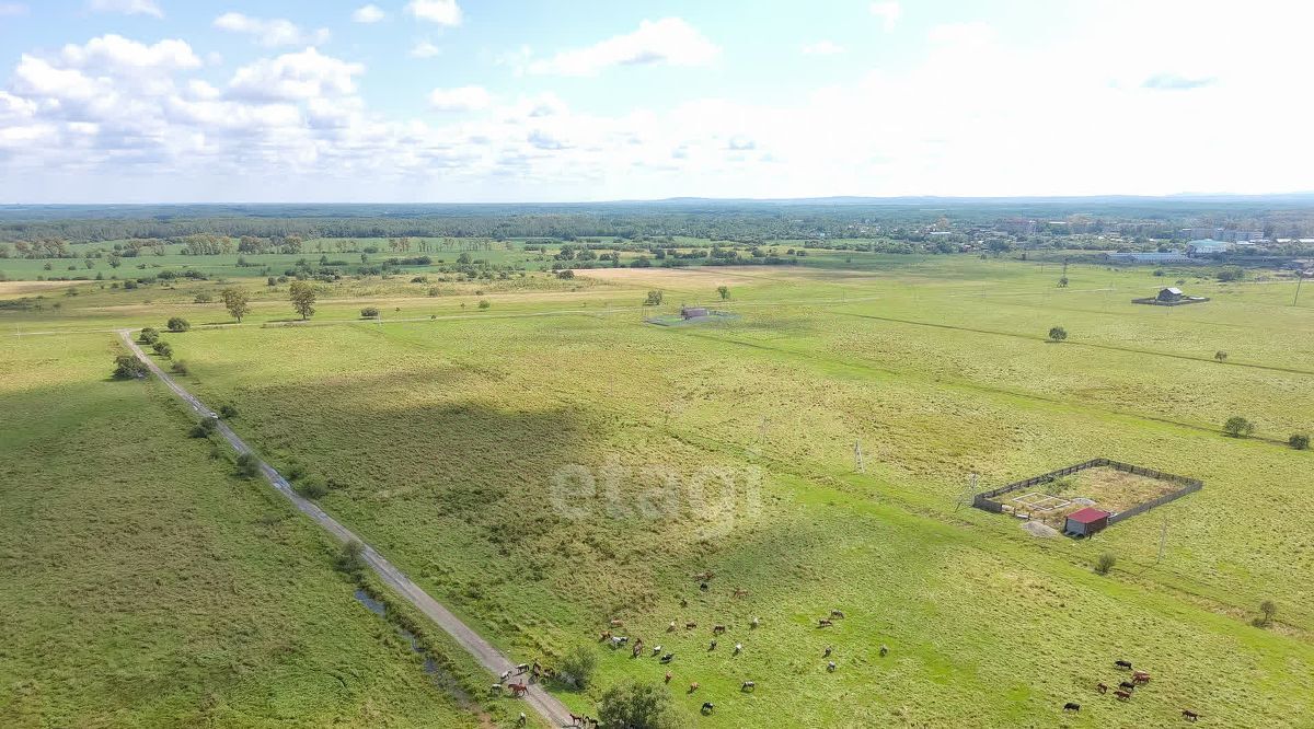 земля р-н Хабаровский с Восточное пер Производственный фото 6