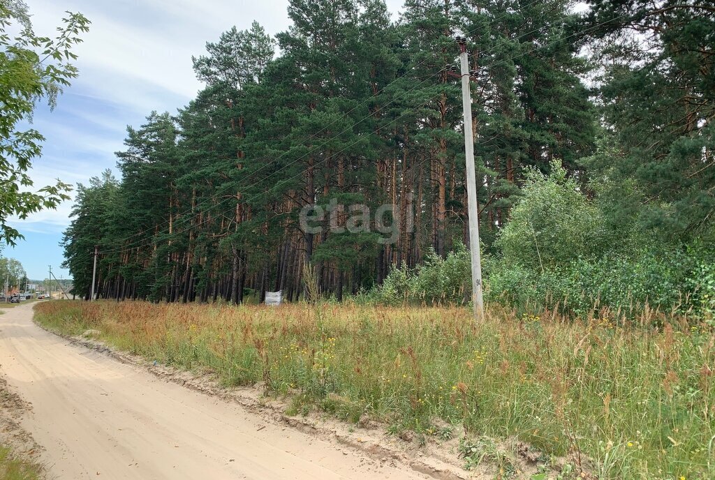 земля р-н Кочкуровский с Сабаево ул Лавровской фото 5