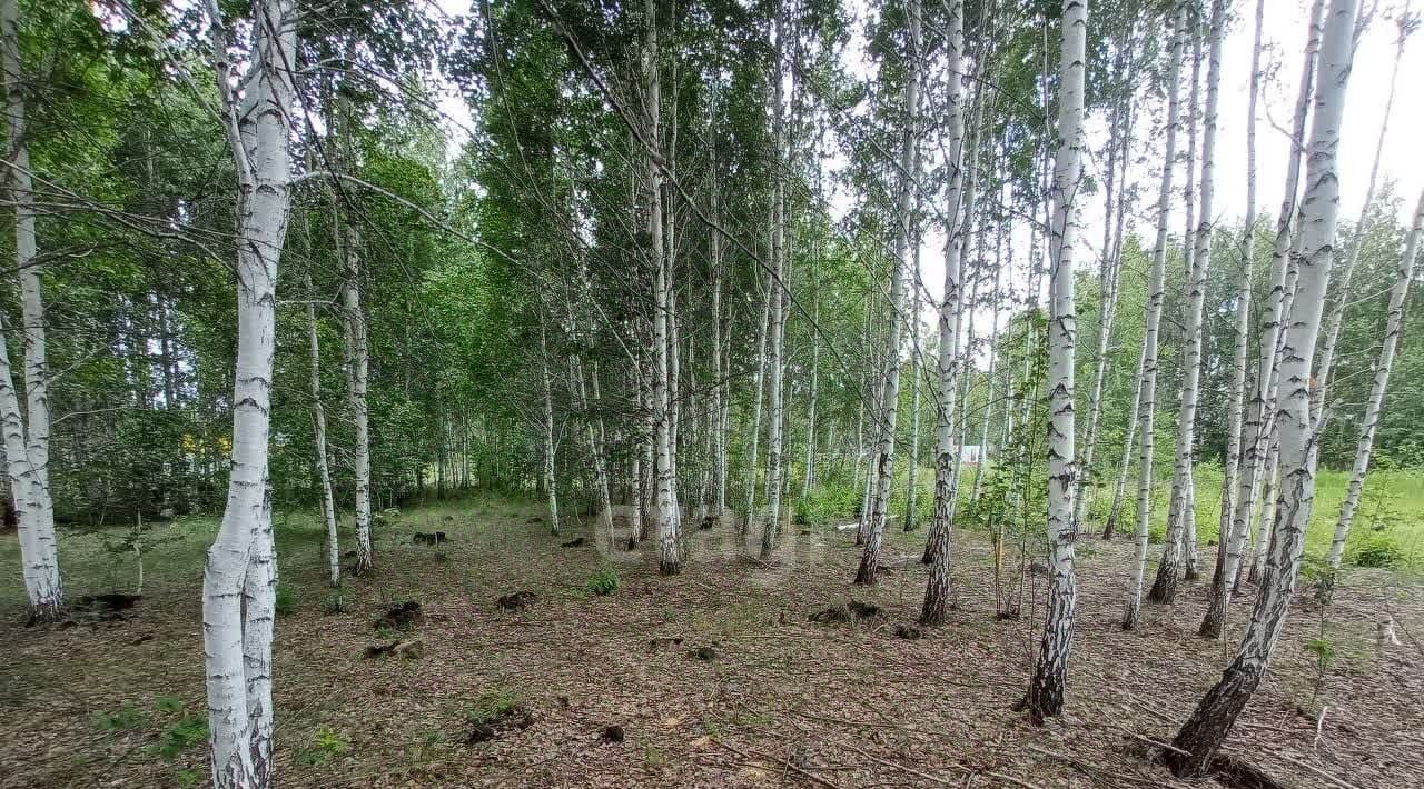 земля р-н Аргаяшский с Кузнецкое ул Школьная пос. Передовик фото 11