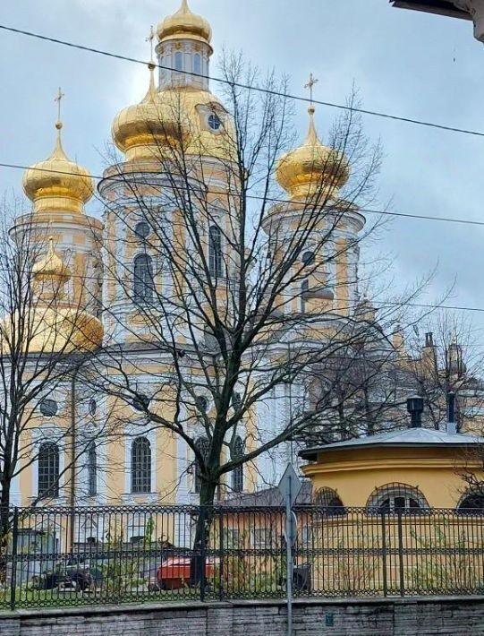 квартира г Санкт-Петербург метро Владимирская пер Дмитровский 12 фото 2