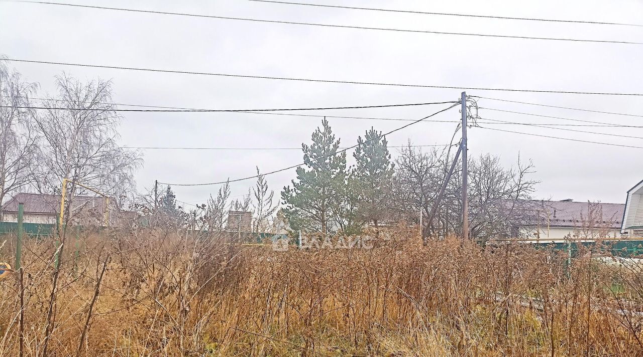 земля р-н Богородский д Бурцево ул Новая фото 7