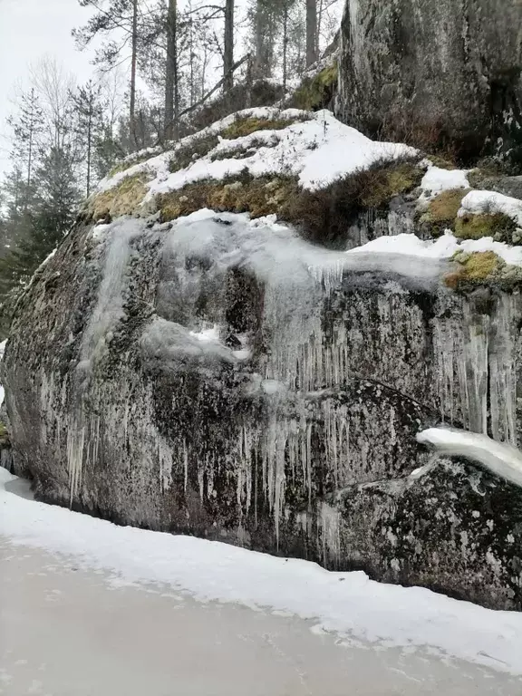 дом р-н Лахденпохский п Асилан 14Б, Куркиеки фото 38