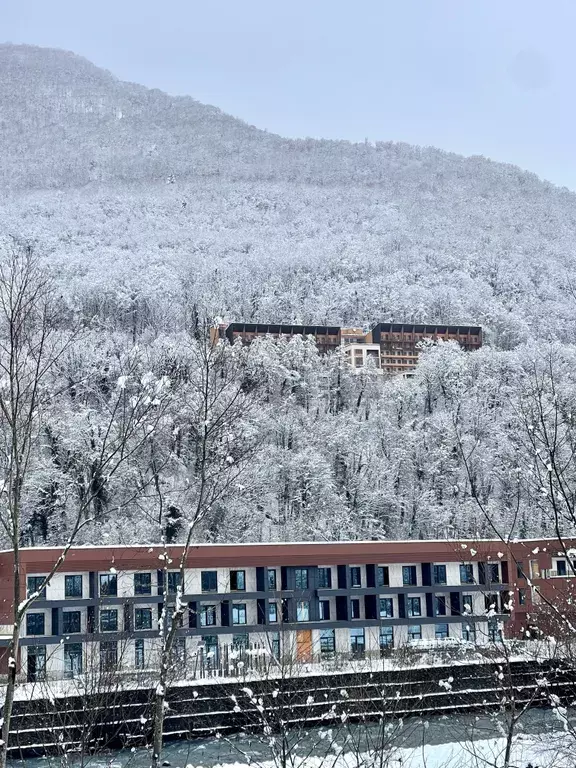 квартира Эсто-Садок, Берёзовая улица, 1А фото 51