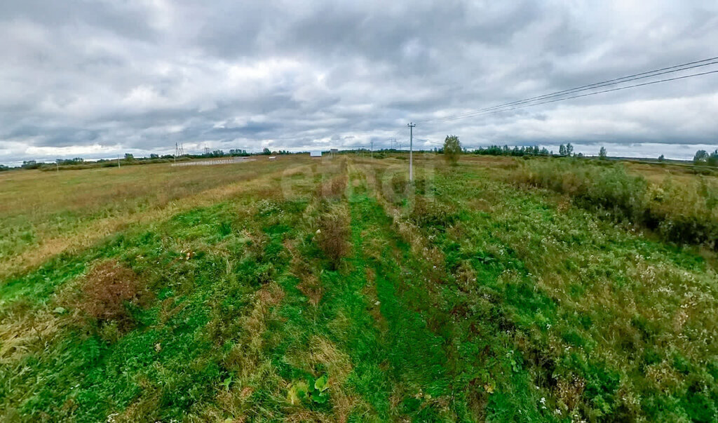 земля р-н Тюменский коттеджный посёлок Новокаменский фото 3