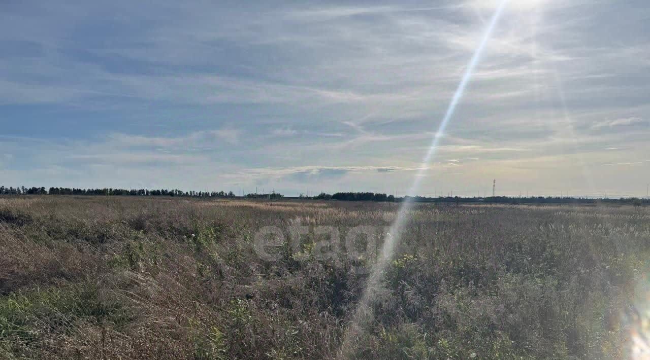 земля р-н Ломоносовский д Глухово Кипенское с/пос, 14 фото 5