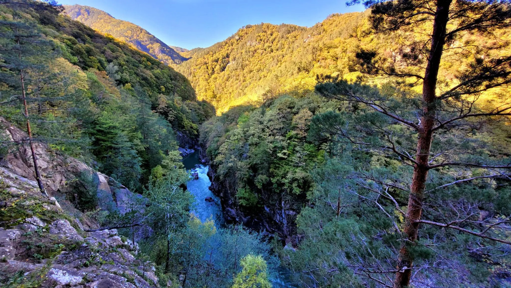 дом р-н Майкопский п Гузерипль ул Лесная 41Л фото 18