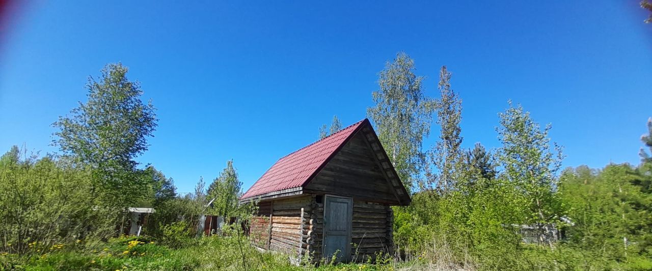 земля р-н Новгородский ст тер массив Кунинские дачиКунинские дачи ул Пятнадцатая Савинское с/пос фото 7