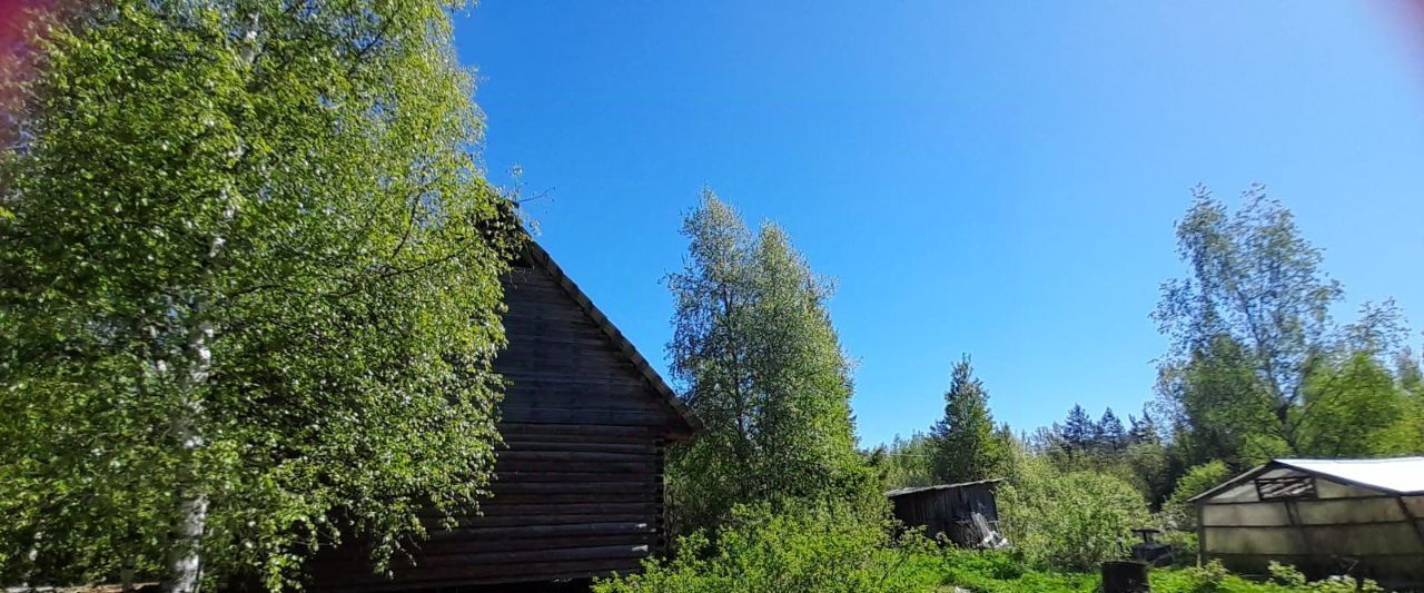 земля р-н Новгородский ст тер массив Кунинские дачиКунинские дачи ул Пятнадцатая Савинское с/пос фото 8