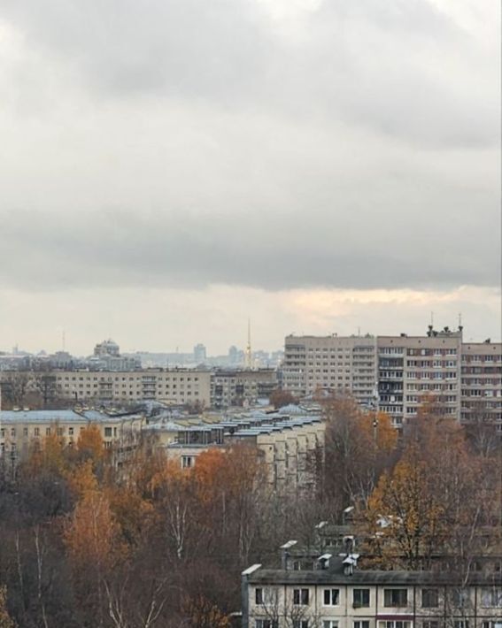 квартира г Санкт-Петербург метро Ладожская пр-кт Энергетиков 24 фото 15