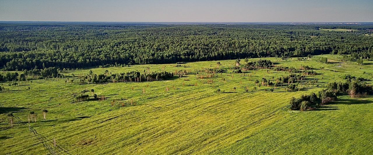 дом р-н Александровский д Лизуново фото 19